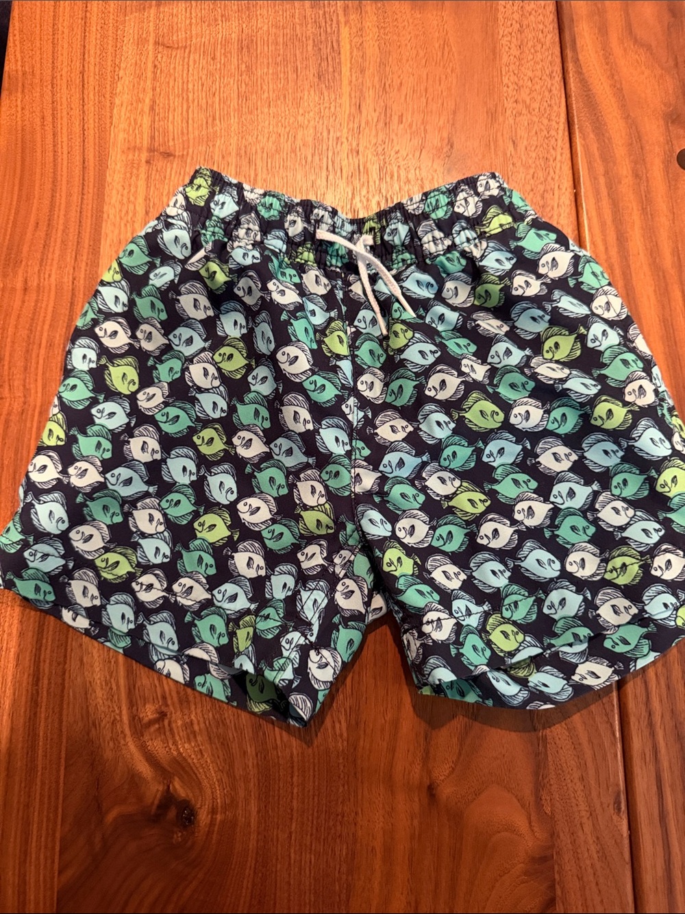 J. Crew Factory Navy Swim Trunks with Aqua, Mint & Lime Fish Motif